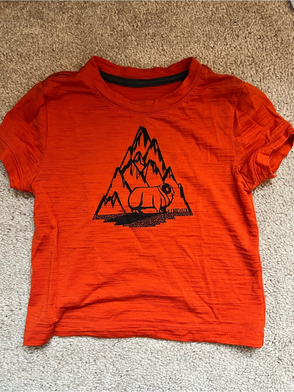 Toddler Merino Wool tshirt 12mo